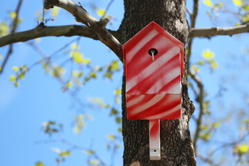 Red and white bird house on tree outdoors. Space for text