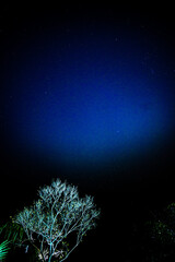 Starry Night