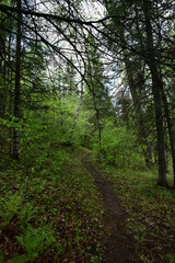 Franz-Jevne State Park 