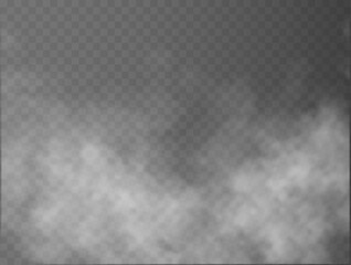 Fog or smoke isolated transparent special effect. White vector cloudiness, mist or smog background. Vector illustration