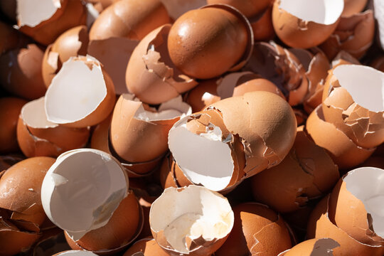 The broken eggshells stacked together.