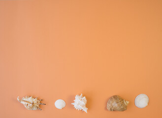 Composition of seashells at the bottom horizontally on an orange background, top view. mock up on orange background. Blank, top view, copy space. travel concept.