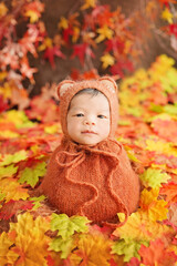 Little fox newborn in autumn season greetings wrapping with fox mohair bonnet and orange brown swaddling wrap surrounded by many maple leaves. Baby   sit and open eyes sending happy feelings.