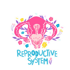 Female reproductive system with flowers. Female anatomy - uterus, ovaries, fallopian tubes. Hand-drawn flat style with a uterus. Design of packaging of gaskets, posters, banners for the hospital.