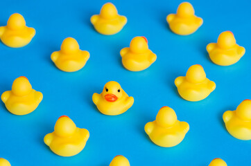 Yellow rubber ducks on a blue background. Not like the others.