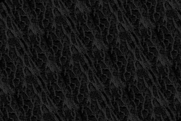 wood bark pattern texture backdrop