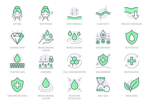 Cosmetic properties line icons. Vector illustration include icon - shield, face lifting, collagen, dermatology, serum outline pictogram for skincare product. Green Color, Editable Stroke