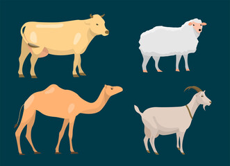 Cow, Camel, Goat and Sheep Flat Design Cartoon Illustration Drawing