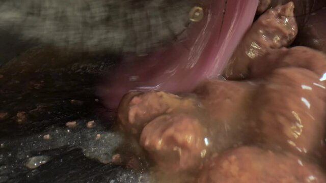 Pug dog eat food from a bowl. Macro. Сanned, diet wet dog food. Probe lens, slow motion