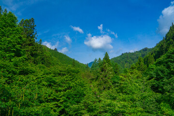 Fototapeta na wymiar 山　青空　緑　風景