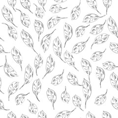 Coca Leaves Drawing Vector Seamless Pattern