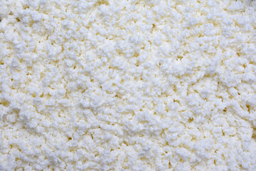 Background of milk curd for baking, close-up