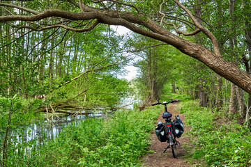 Bicycle on a single trail next to a ditch and wild trees in a nature reserve in Germany during bike...