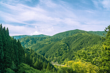 Fototapeta na wymiar 初夏の檜原村　山　風景