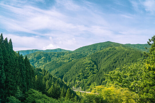 初夏の檜原村　山　風景