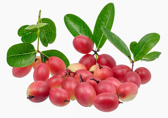 Carunda or Karonda fruits isolated on white background
