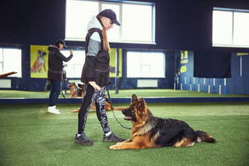 Young handler teaching the dog the Down command - Powered by Adobe