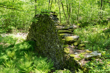 A stone wall covered with moss