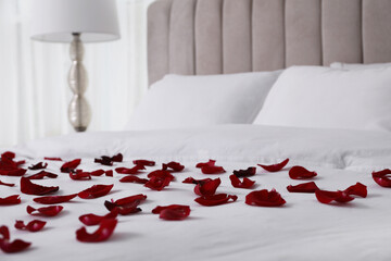 Beautiful red rose petals on bed in room