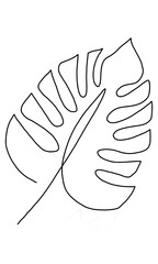 One line modern abstract monstera