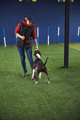 Professional handler giving the dog a food reward