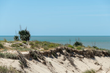 SOULAC, dans le Médoc (Gironde, France)