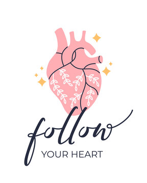 Poster with handwritten "Follow your heart" motivation phrase and realistic anatomical human heart with stars and plants. Modern calligraphy print, trendy illustration, design flat cartoon boho style