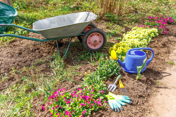 Flowerbed and gardener equipment wheelbarrow garden cart watering can garden rake in garden on...