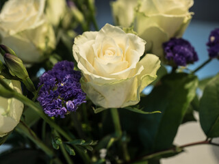 WHITE ROSE