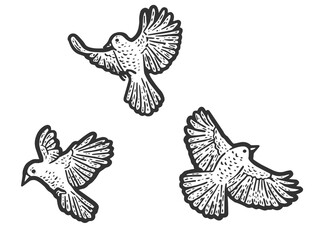 Set, three birds are flying. Engraving vector illustration. Sketch scratch board imitation.