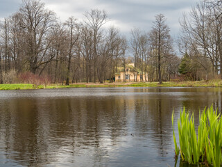 Beautiful landscape in the park. Yellow house by the lake. Ripples in the water. House on the shore of a lake with trees and firs. Green sedge in the foreground. Early spring