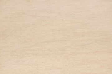 Plywood surface in natural pattern with high resolution. Wood grain texture background.