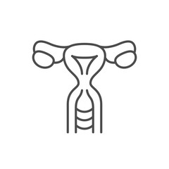 Female reproductive system line icon