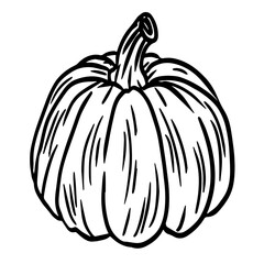 Pumpkin hand drawn illustration isolated on white background.