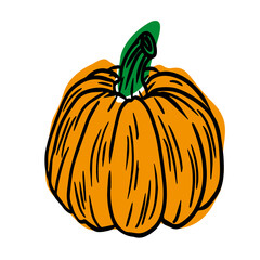 Pumpkin hand drawn illustration isolated on white background.