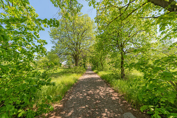 Obraz premium Novo Milosevo, Serbia - May 04, 2021: Park of Karaconji Castle in Novi Milosevo was built in 1857 and is one of the cultural monuments of great importance.