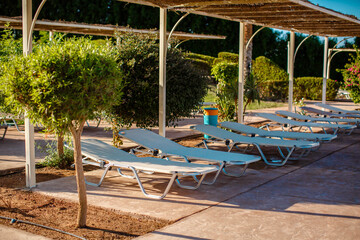 Blank Loungers in a Row in Luxury Hotel. Sunbed for Sunbathing.