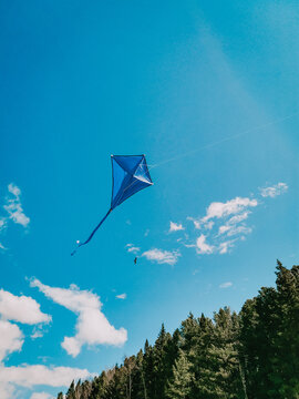 Blue kite soars in the blue sky. Man rules kite. The concept of freedom, summer hobbies, entertainment in nature. Minimalism, space for text, shades of blue. Silhouette	