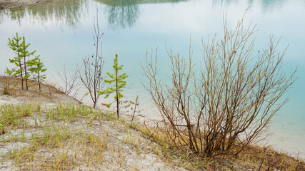 nature landscape summer spring blue clear lake forest in the distance   young trees buds new fresh green leaves