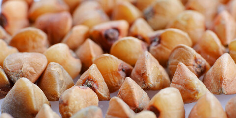 buckwheat kernel grits