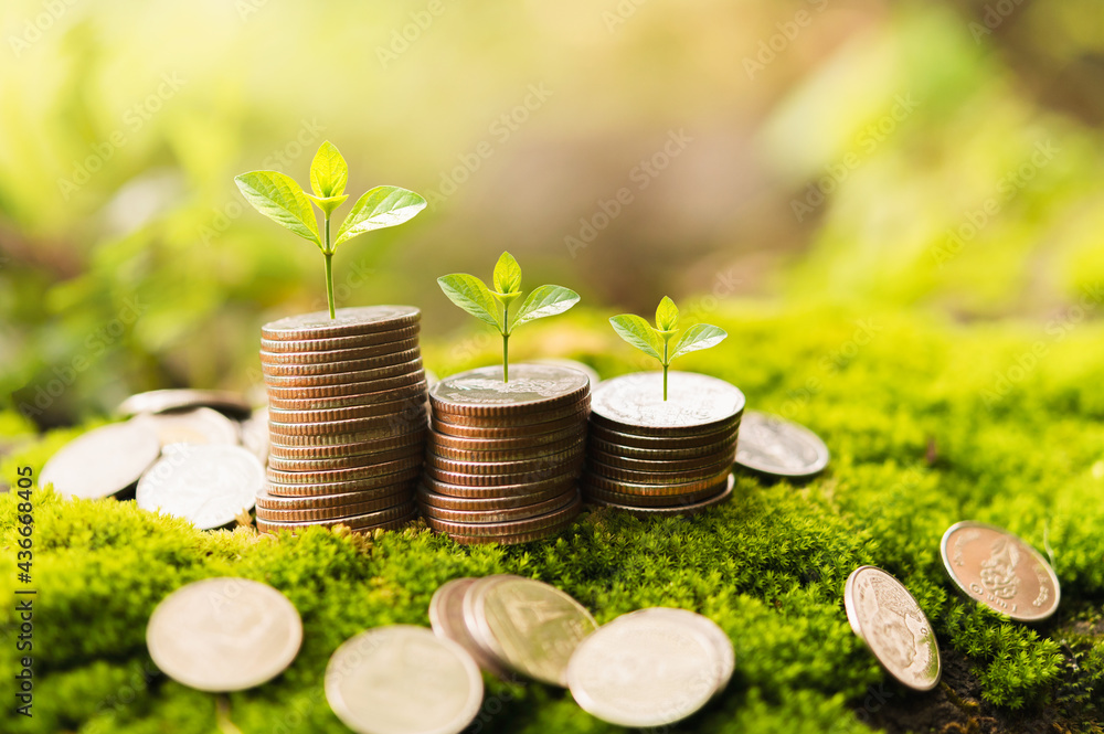 Poster saving money concept. coins stack with small tree growing. concept finance and accounting