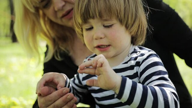 A little boy in a striped longsleeve laughs and looks at the ladybug. A child with a blonde mom is exploring the world. The boy was scared of the ladybug