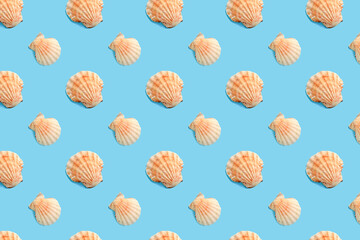 Colorful pattern seashells on a blue background. Summer pattern.