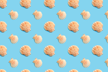 Colorful pattern seashells on a blue background. Summer pattern.