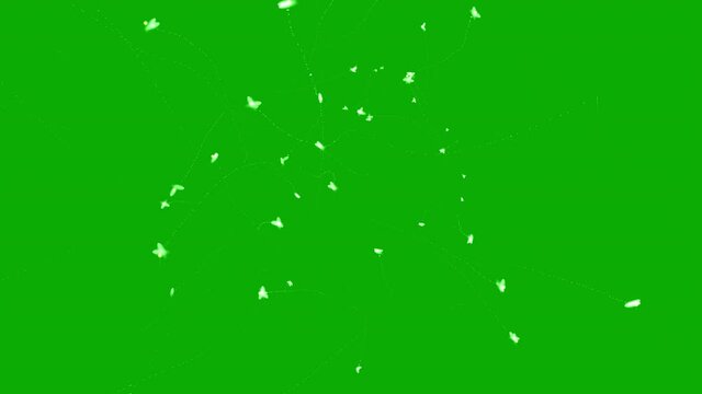Magic fireflies motion graphics with green screen background