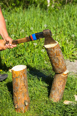 Lumberjack. A man chopping wood with an old metal axe, hatchet with a wooden handle in nature. Stumps of pine trees on green grass. Rural life, a household. Making a fire.