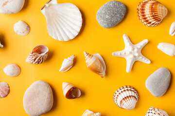 Various seashells on a yellow background. Summer background.