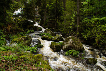 Black Forest - Triberg Waterfalls