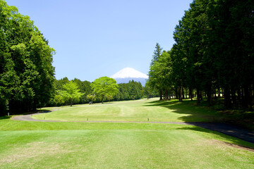 The view of fairway and Mt.Fuji.