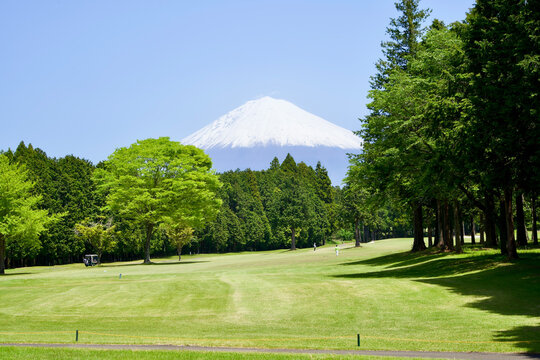 Golf course in the Shizuoka.